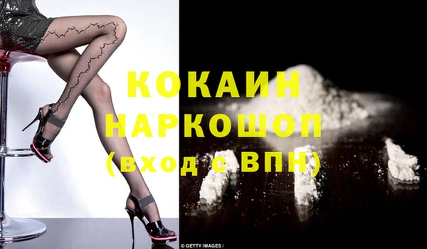 шишки Аркадак
