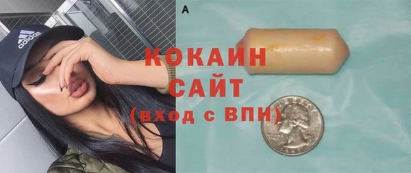 шишки Аркадак