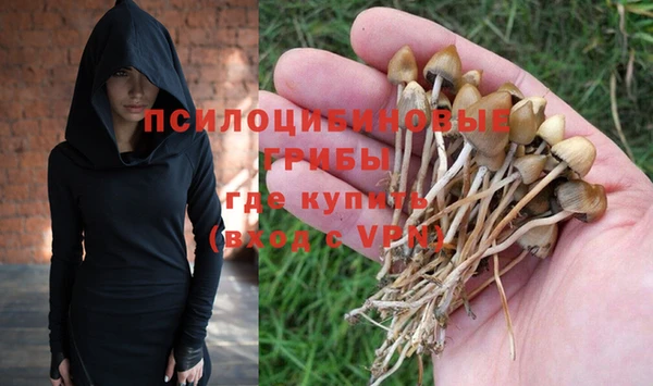 шишки Аркадак