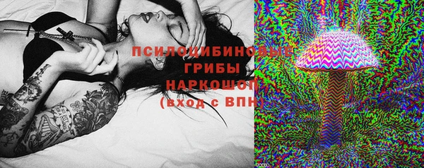шишки Аркадак