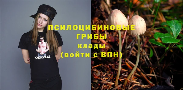прущий лед Арсеньев